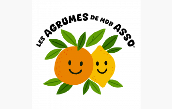 Agrumes décembre 2025